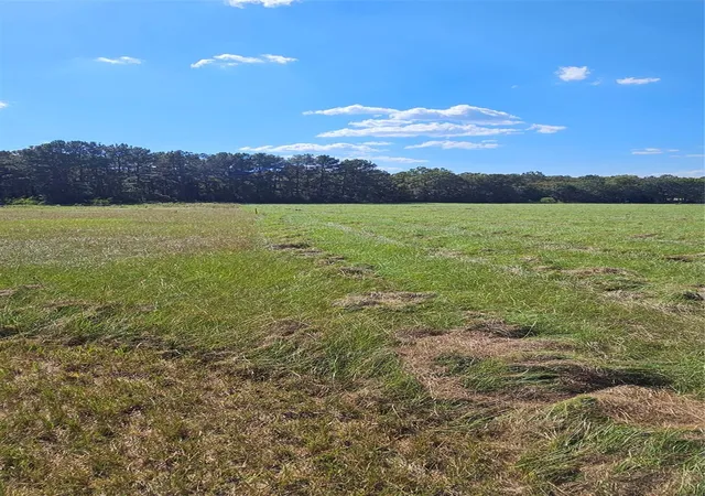 1st image of Tbd Hawthorne Rd N, New Waverly, TX 77358 | MLS# 94166391