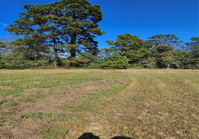 Photo 3 of Land for sale at Tbd Hawthorne Rd N, New Waverly, TX 77358 | MLS# 94166391 | Listing updated on 2026-08-29