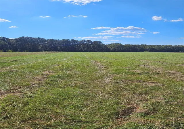 Photo 3 of Land for sale at Tbd Hawthorne Rd N, New Waverly, TX 77358 | MLS# 94166391 | Listing updated on 2026-08-29