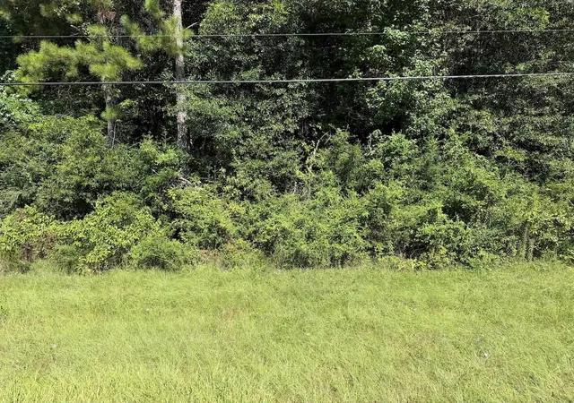 Photo 1 of Land for sale at 000 Farm To Market Hwy 92, Spurger, TX 77660 | MLS# 16965648 | Listing updated on 2026-08-24