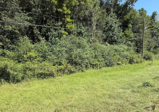 Photo 3 of Land for sale at 000 Farm To Market Hwy 92, Spurger, TX 77660 | MLS# 16965648 | Listing updated on 2026-08-24