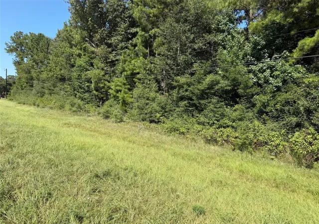 Photo 3 of Land for sale at 000 Farm To Market Hwy 92, Spurger, TX 77660 | MLS# 16965648 | Listing updated on 2026-08-24