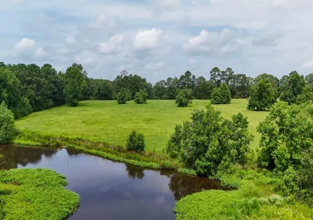 1st image of 0004 County Road 2780, Woodville, TX 75979 | MLS# 92119887