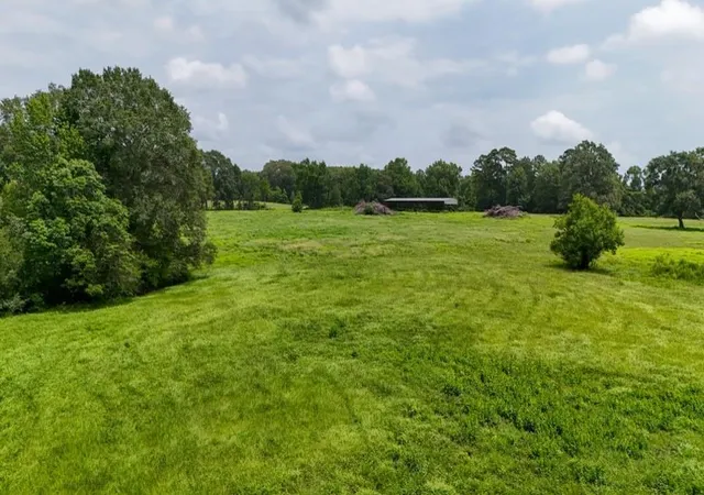 Photo 3 of Land for sale at 0004 County Rd 2780, Woodville, TX 75979 | MLS# 92119887 | Listing updated on 2026-08-20