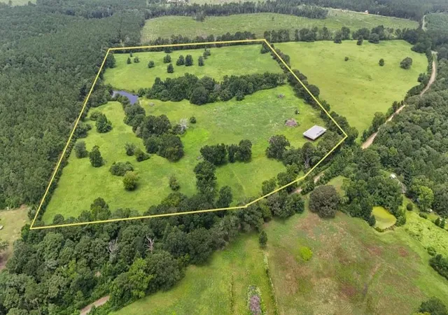 Photo 3 of Land for sale at 0004 County Rd 2780, Woodville, TX 75979 | MLS# 92119887 | Listing updated on 2026-08-20