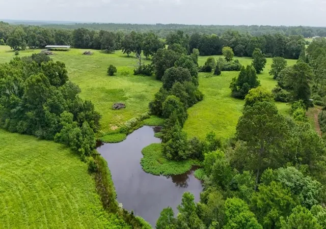 Photo 4 of Land for sale at 0004 County Rd 2780, Woodville, TX 75979 | MLS# 92119887 | Listing updated on 2026-08-20