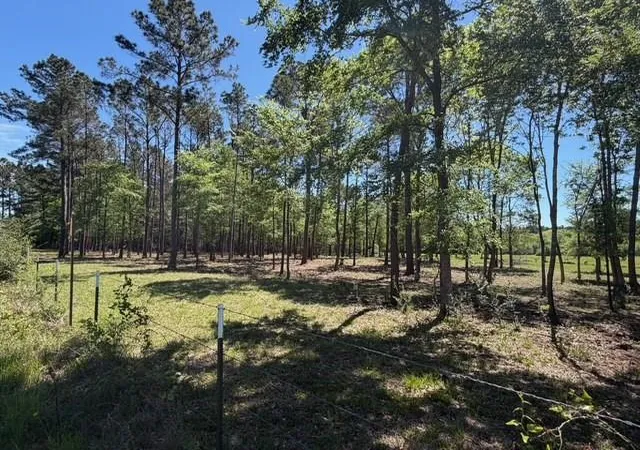 10th image of 4335 Fm 1374 Rd, Huntsville, TX 77340 | MLS# 35392212