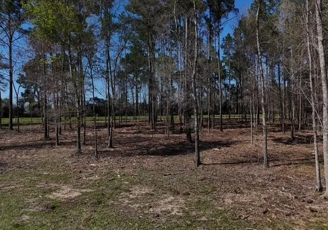 2nd image of 4335 Fm 1374 Rd, Huntsville, TX 77340 | MLS# 35392212