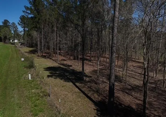 Photo 4 of Land for sale at 4335 Fm 1374 Rd, Huntsville, TX 77340 | MLS# 35392212 | Listing updated on 2026-08-10