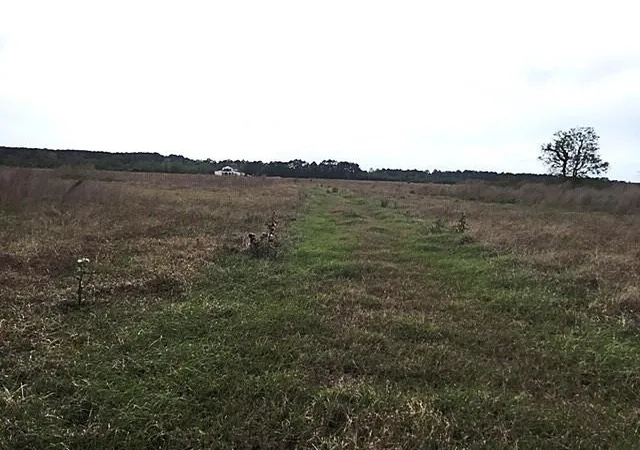 3rd image of 509 County Road 2285, Cleveland, TX 77327 | MLS# 29118767