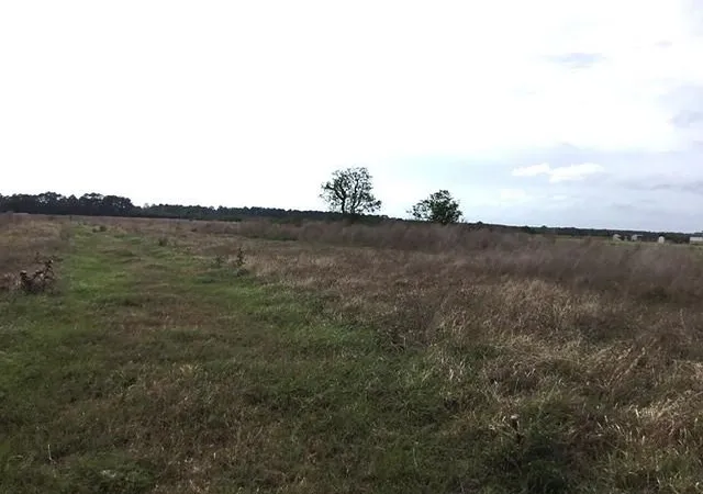 4th image of 509 County Road 2285, Cleveland, TX 77327 | MLS# 29118767