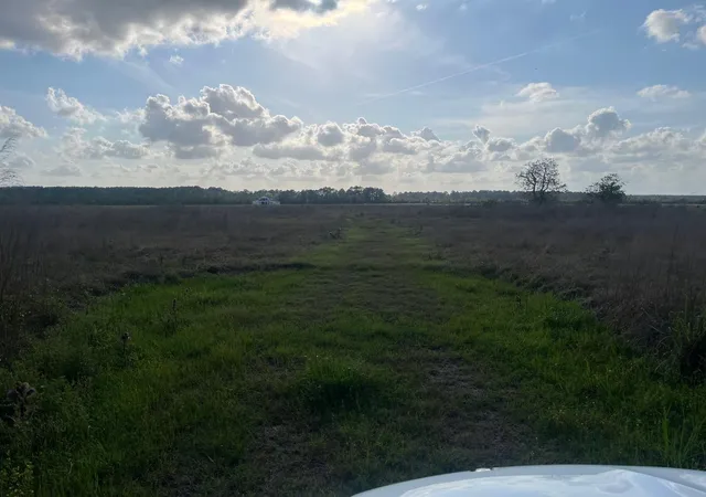 5th image of 509 County Road 2285, Cleveland, TX 77327 | MLS# 29118767