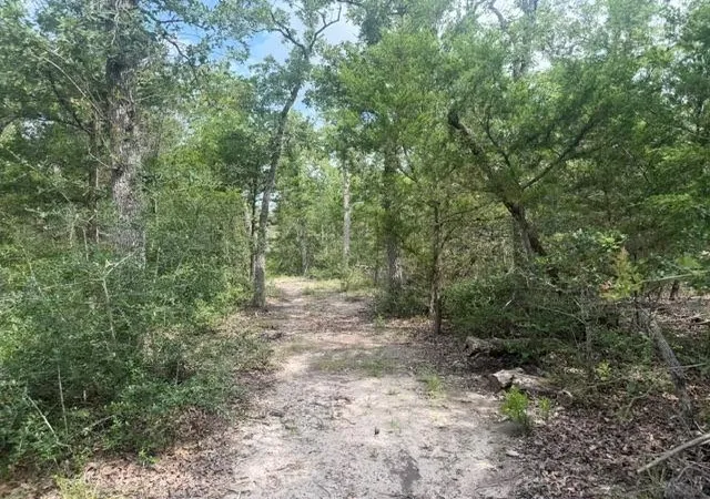 Homes for sale in Ledbetter, TX | 2203 Dead End Ln, Ledbetter, TX 78946 | MLS# 94526643