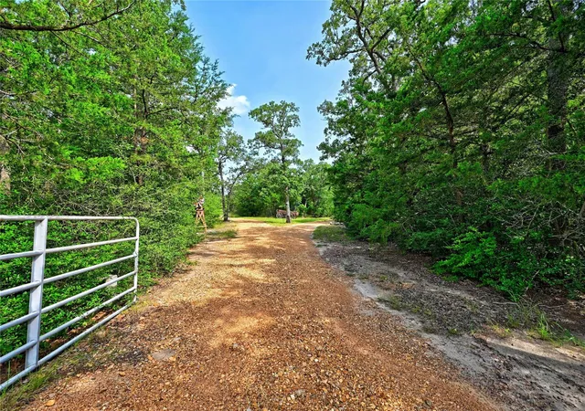 5th image of 2203 Dead End Ln, Ledbetter, TX 78946 | MLS# 94526643