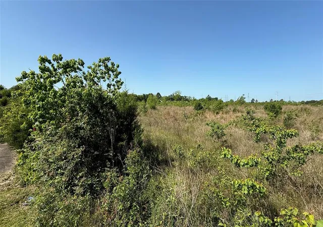 Photo 2 of Land for sale at 0 Lazy Kay Ln, Hockley, TX 77447 | MLS# 2190269 | Listing updated on 2026-06-23