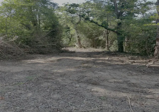 Photo 3 of Sale Pending at 0 County Rd 1208, Grapeland, TX 75844 | MLS# 69033518 | Listing updated on 2026-09-28