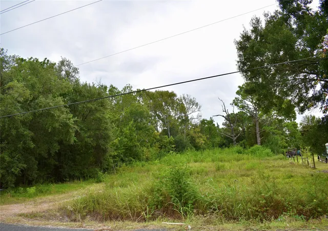 5th image of 102 S Willow St, Texas City, TX 77591 | MLS# 55216320