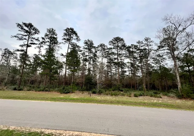 Photo 2 of Land for sale at Tbd 8 Lily Bean, Montgomery, TX 77316 | MLS# 2468987 | Listing updated on 2026-09-03