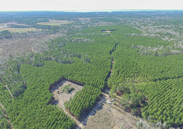 4th image of 3103 Sandydale Ln, Livingston, TX 77351 | MLS# 16564998