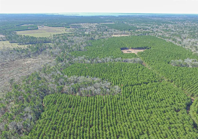 5th image of 3103 Sandydale Ln, Livingston, TX 77351 | MLS# 16564998