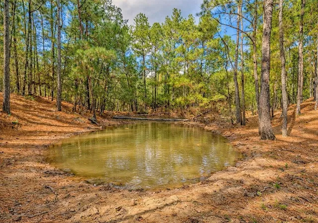 Homes for sale in Trinity, TX | 157 Oates Brothers Rd, Trinity, TX 75862 | MLS# 27244274
