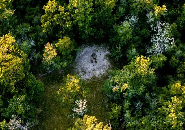 Photo 4 of Land for sale at 148 Lake Falls Rd, Huntsville, TX 77320 | MLS# 58506950 | Listing updated on 2026-06-24