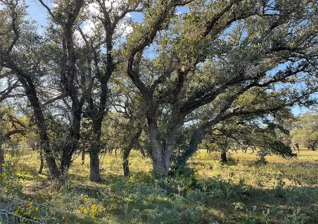 3rd image of 389 Hausmann Rd, Cuero, TX 77954 | MLS# 43323751