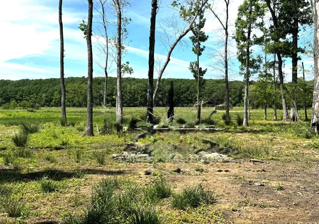 48th image of 3400 Fm 1127, Shepherd, TX 77371 | MLS# 72361302