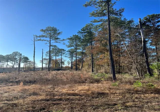 Photo 1 of Land for sale at 366 County Road 5021, Cleveland, TX 77327 | MLS# 61641671 | Listing updated on 2025-12-30