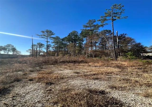 Photo 3 of Land for sale at 366 County Road 5021, Cleveland, TX 77327 | MLS# 61641671 | Listing updated on 2025-12-30