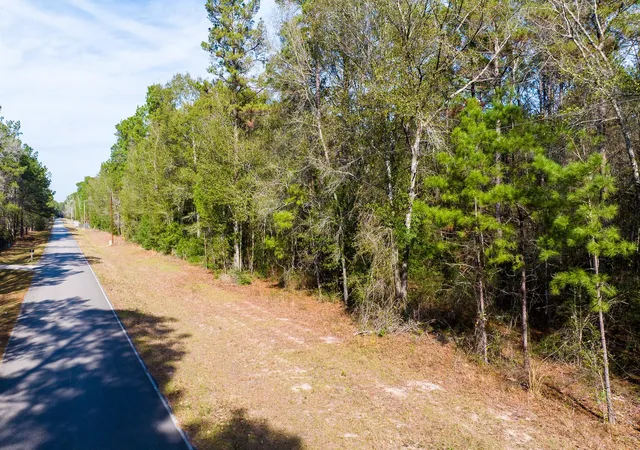 16th image of 6698 Pine Shadows Rd, Cleveland, TX 77328 | MLS# 63073186