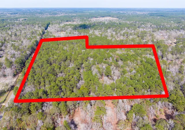 1st image of 6698 Pine Shadows Rd, Cleveland, TX 77328 | MLS# 63073186