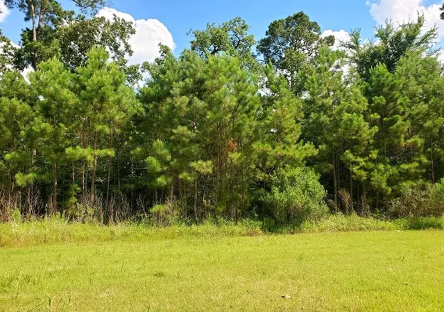 Photo 2 of Sale Pending at 73 Kings Lake Estates Blvd, Humble, TX 77346 | MLS# 63100760 | Listing updated on 2026-06-08