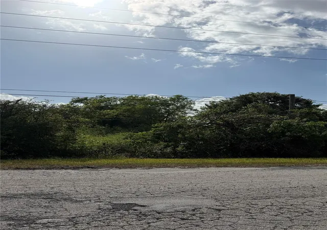 Photo 4 of Land for sale at Tbd County Road 48, Iowa Colony, TX 77583 | MLS# 64584775 | Listing updated on 2026-08-24