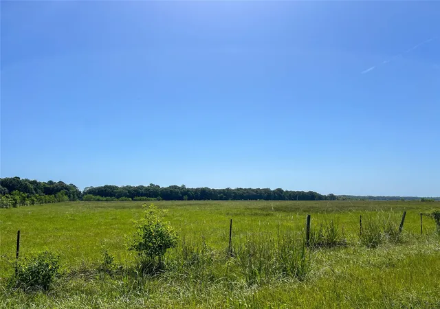3rd image of 0 Old Sour Lake Road, Sour Lake, TX 77659 | MLS# 53336133