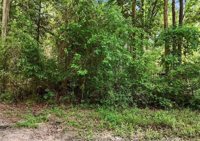 Photo 1 of Land for sale at 164 Road 2699, Cleveland, TX 77327 | MLS# 44266479 | Listing updated on 2026-07-30