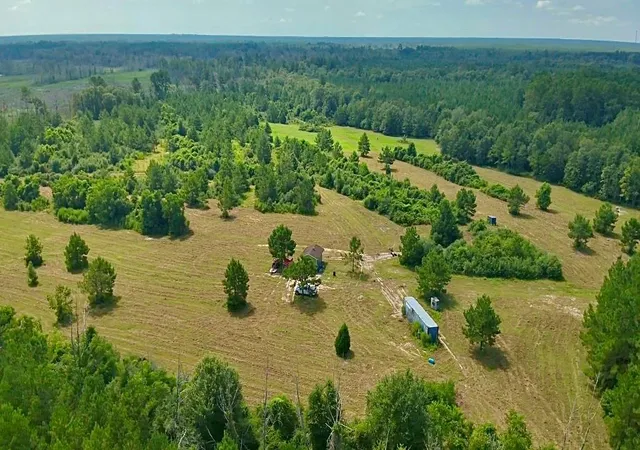 1st image of 81363 George Sanner Rd, Village Mills, TX 77663 | MLS# 9409812