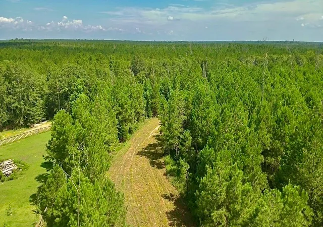 2nd image of 81363 George Sanner Rd, Village Mills, TX 77663 | MLS# 9409812