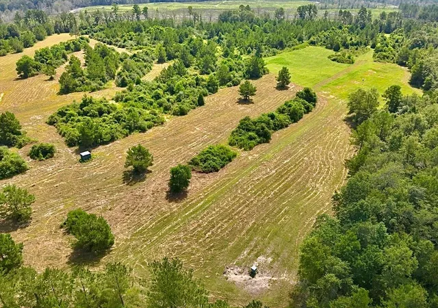 Photo 3 of Land for sale at 81363 George Sanner Rd, Village Mills, TX 77663 | MLS# 9409812 | Listing updated on 2026-09-15