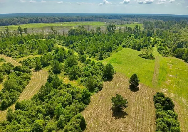 Photo 3 of Land for sale at 81363 George Sanner Rd, Village Mills, TX 77663 | MLS# 9409812 | Listing updated on 2026-09-15