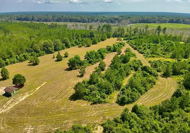 Photo 4 of Land for sale at 81363 George Sanner Rd, Village Mills, TX 77663 | MLS# 9409812 | Listing updated on 2026-09-15