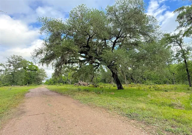 2nd image of Tract 3 County Road 332, Sweeny, TX 77480 | MLS# 56081736
