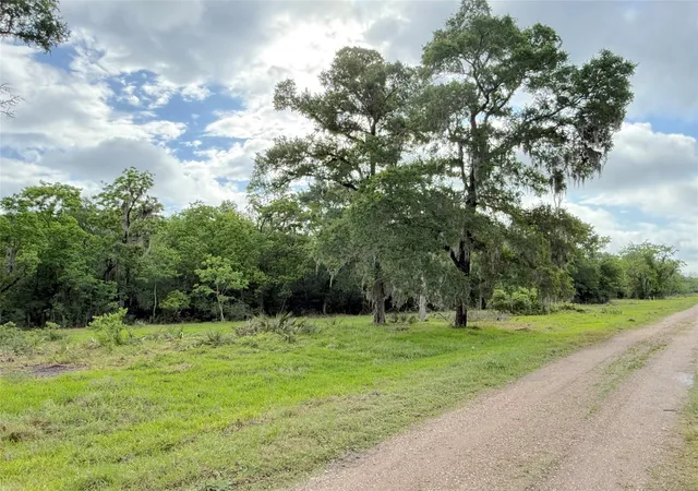 Photo 3 of Land for sale at Tract 3 County Rd 332, Sweeny, TX 77480 | MLS# 56081736 | Listing updated on 2026-08-24