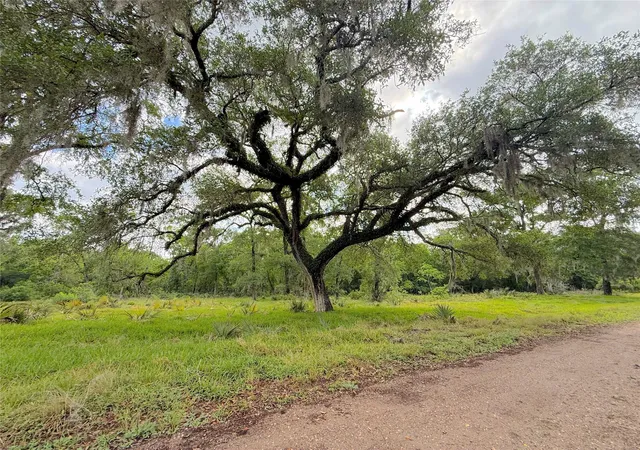 Photo 3 of Land for sale at Tract 3 County Rd 332, Sweeny, TX 77480 | MLS# 56081736 | Listing updated on 2026-08-24