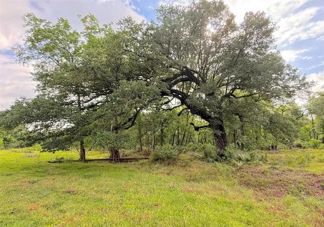 Photo 4 of Land for sale at Tract 3 County Rd 332, Sweeny, TX 77480 | MLS# 56081736 | Listing updated on 2026-08-24