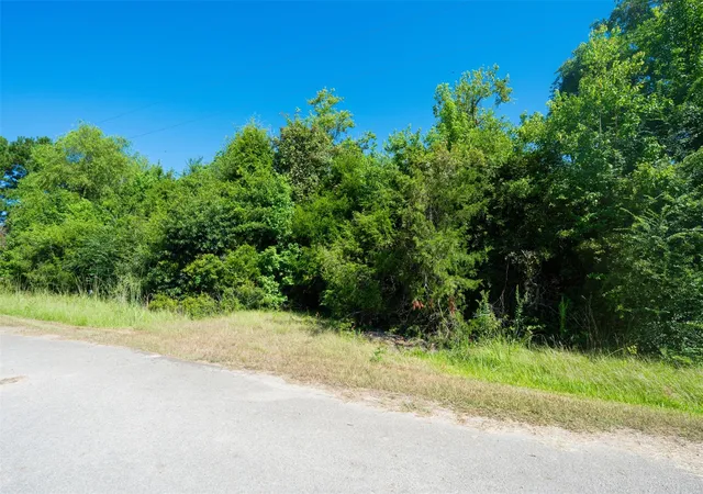 Photo 3 of Land for sale at Tbd County Rd 2236 Abb, Cleveland, TX 77327 | MLS# 40793937 | Listing updated on 2026-08-24