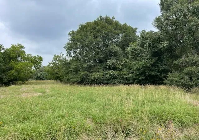 4th image of 280 County Road 470, Palacios, TX 77465 | MLS# 87828792