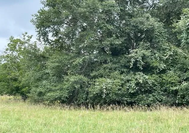 5th image of 280 County Road 470, Palacios, TX 77465 | MLS# 87828792