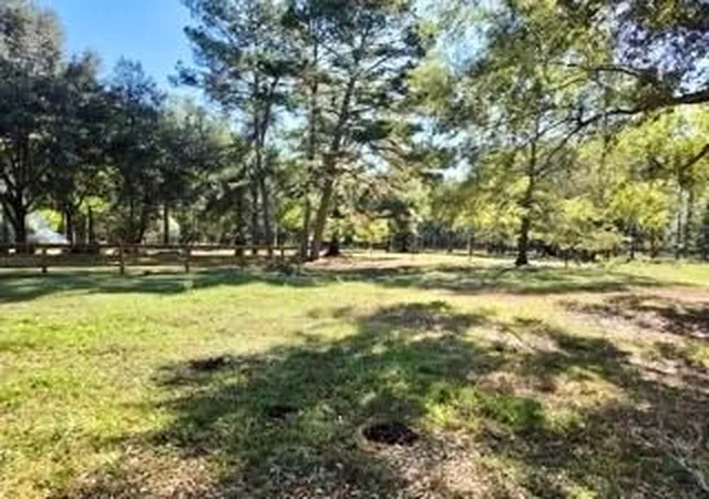 Photo 2 of Single family home for sale at 441 Wonderland Dr, Shepherd, TX 77371 | MLS# 53946800 | Listing updated on 2026-09-16