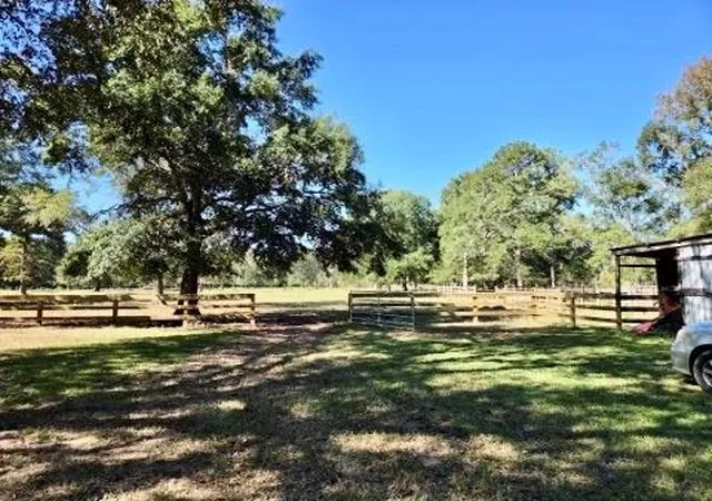 Photo 4 of Single family home for sale at 441 Wonderland Dr, Shepherd, TX 77371 | MLS# 53946800 | Listing updated on 2026-09-16